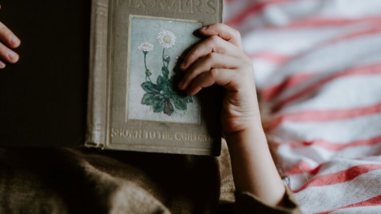 Unsplash | Annie Spratt