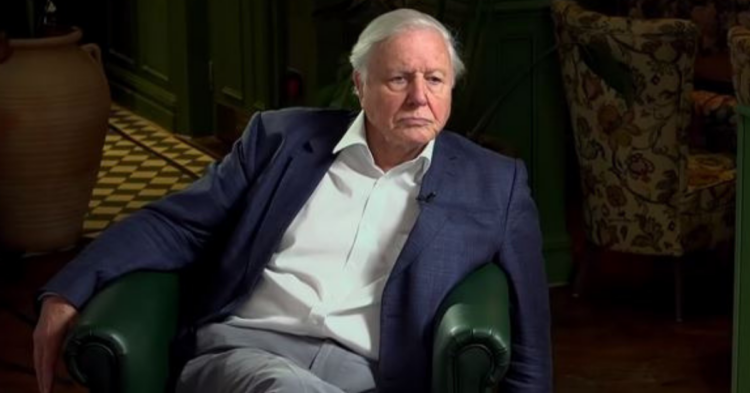 YouTube | BBC Newsnight