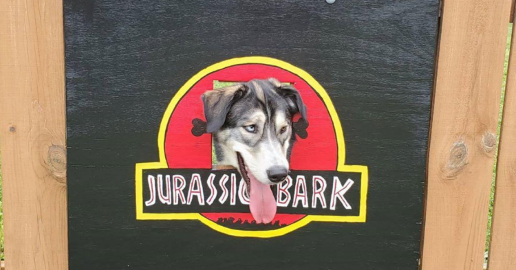 Instagram | @thedogfence