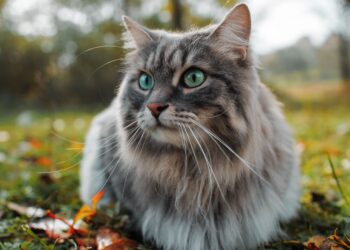 Shutterstock | 3981437