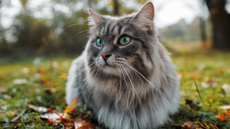 Shutterstock | 3981437