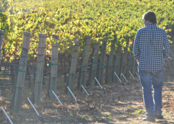 Facebook | Murphy-Goode Winery