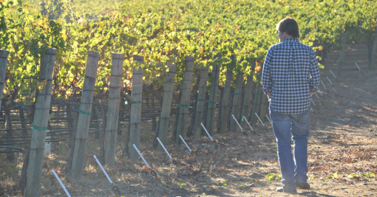 Facebook | Murphy-Goode Winery