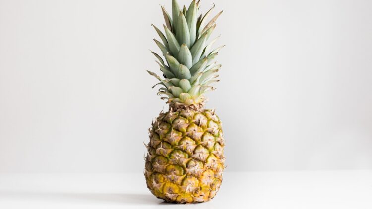 Unsplash | Julien Pianetti