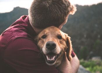 Unsplash | Eric Ward