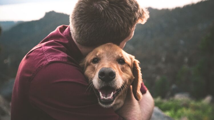 Unsplash | Eric Ward