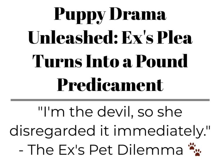 Diply | Diply