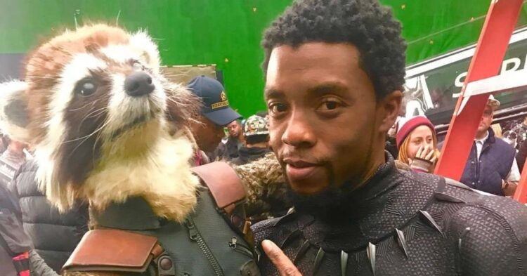 [Instagram | @https://www.instagram.com/p/BkoDOpGHhnV/)chadwickboseman](