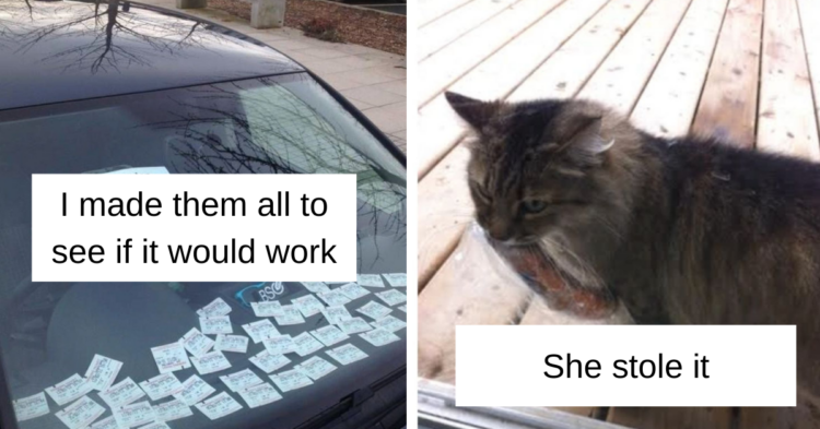 Reddit