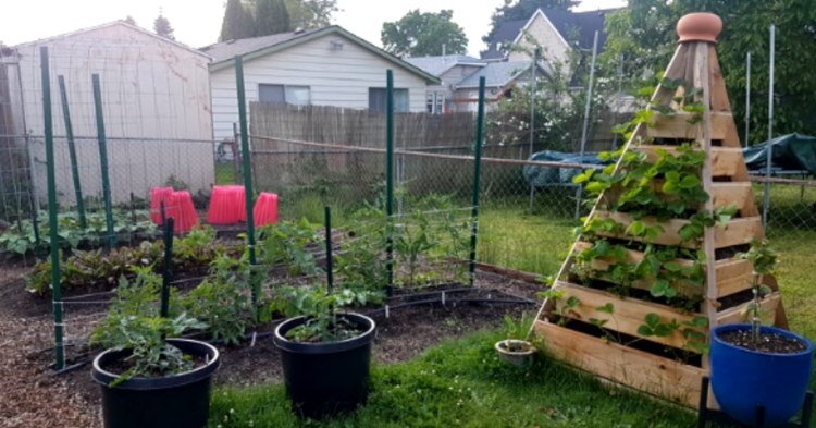 Victorious Garden