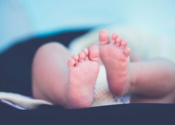 Unsplash |   Janko Ferlič