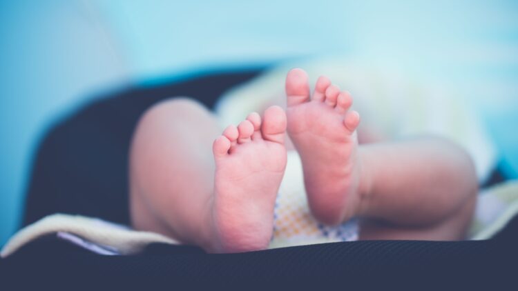 Unsplash |   Janko Ferlič