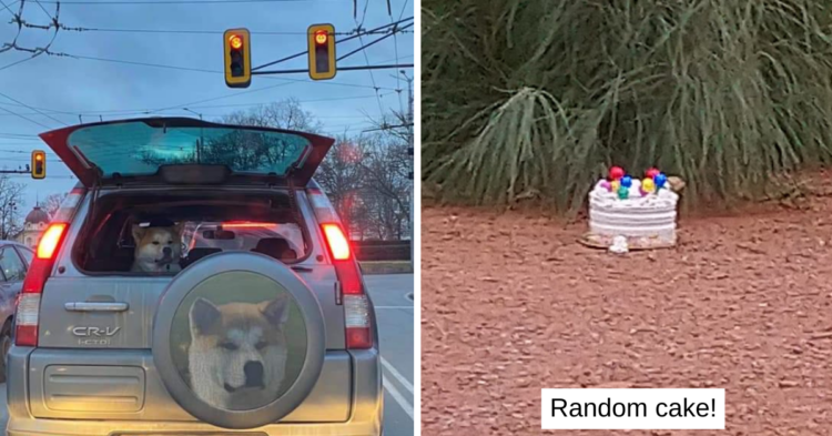 Reddit