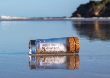 Unsplash | Jayne Harris