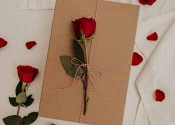 Unsplash | Becca Tapert