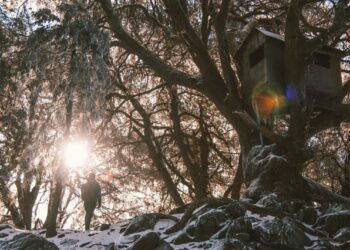 Unsplash | Bradley Dunn