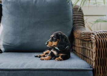 Unsplash | Carissa Weiser
