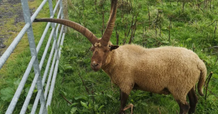 Reddit | Wilagorn