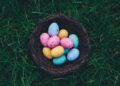Unsplash | Annie Spratt