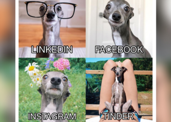 Facebook | Tika the Iggy