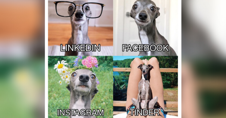 Facebook | Tika the Iggy
