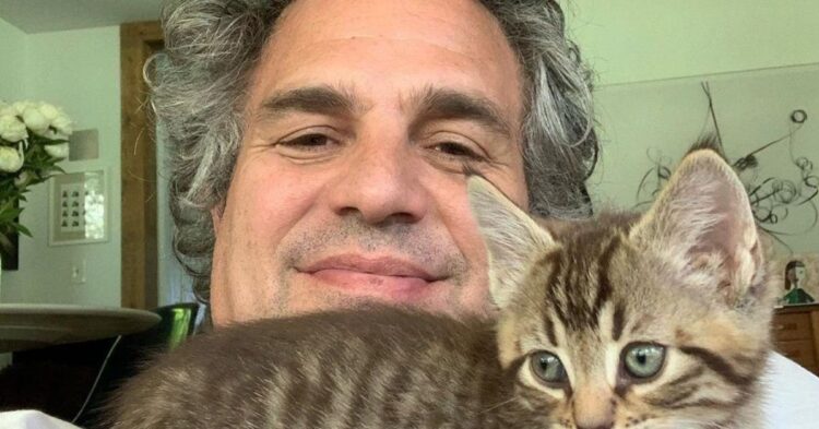 Instagram | @markruffalo