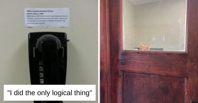 Reddit