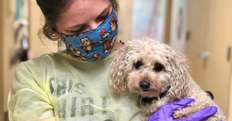 Facebook | Monmouth County SPCA