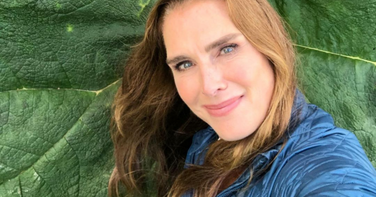 Instagram | @brookeshields