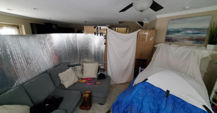 Reddit | Bulevine