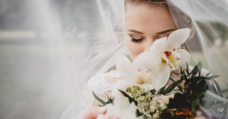 Unsplash | Victoria Priessnitz
