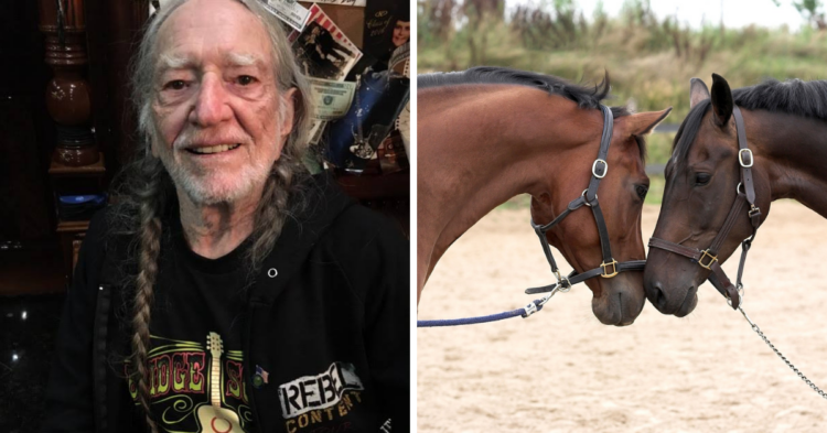 Facebook | Willie Nelson