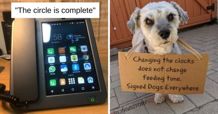 Reddit
