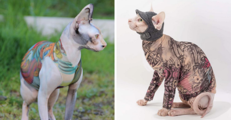 Etsy | SimplySphynx