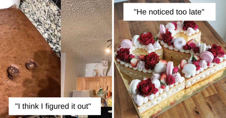 15+ People Who Tried To Pretend That Everything Was Fine When It Obviously Wasn’t