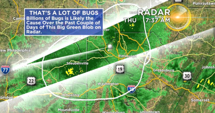 Twitter | @RonSmileyWx