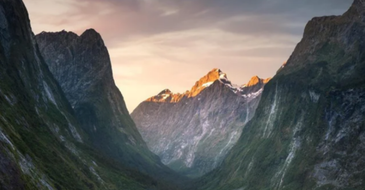 Reddit | william_patino