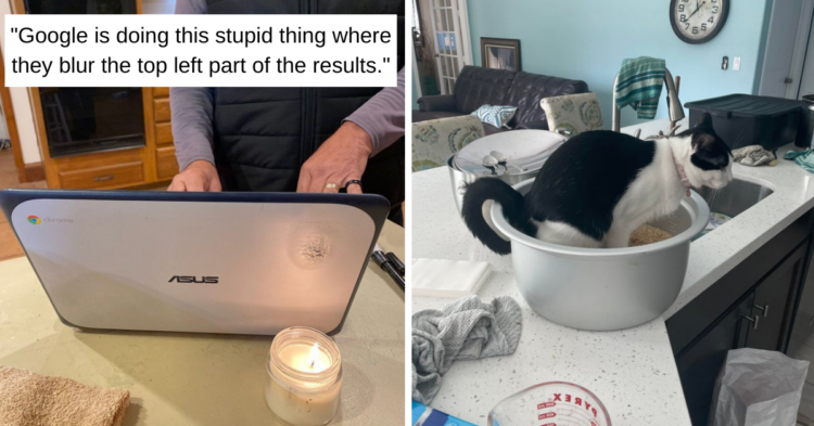Reddit