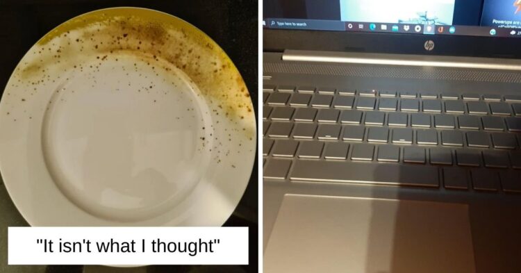 Reddit