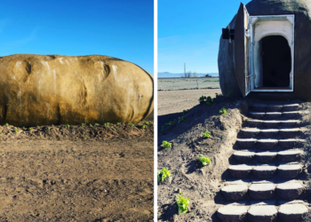 Instagram | @idahopotatoes