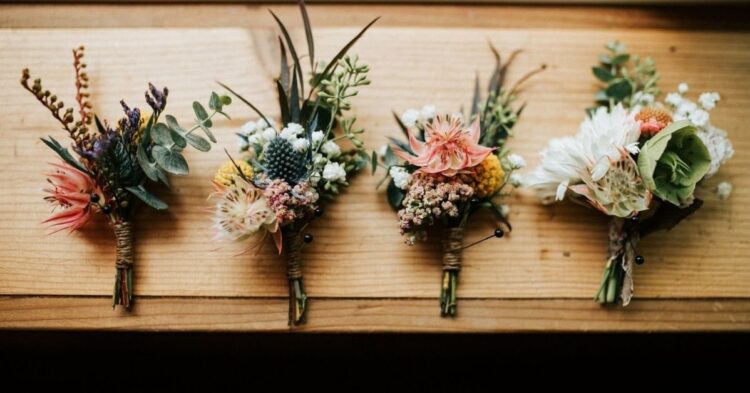 Unsplash | Marisa Morton