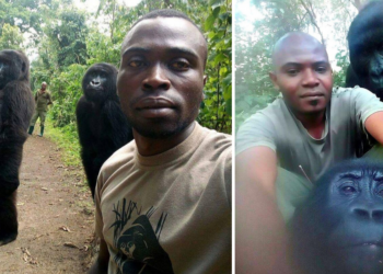 Facebook | The Elite AntiPoaching Units And Combat Trackers