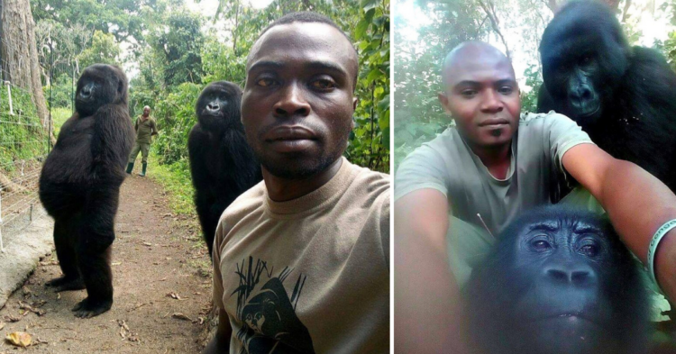 Facebook | The Elite AntiPoaching Units And Combat Trackers
