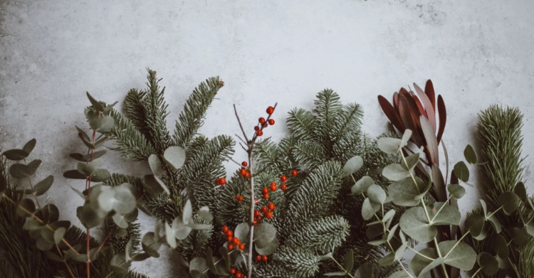 Unsplash