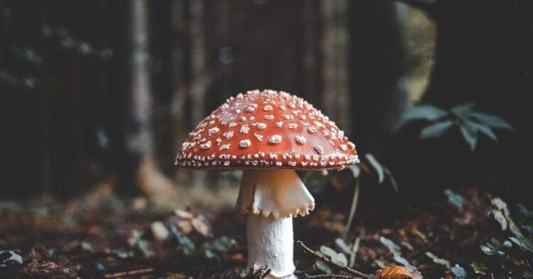 Unsplash | Florian van Duyn