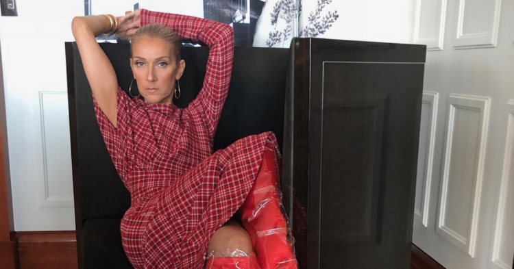 Instagram | @celinedion