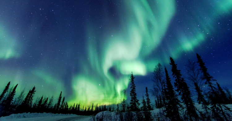 Getty Images | Vincent Demers Photography