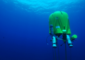 Facebook | Ocean Opportunity
