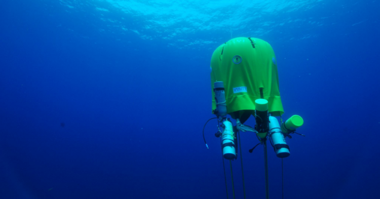 Facebook | Ocean Opportunity