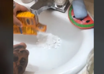 TikTok | @sorryimannie